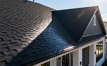 Shingle Saver